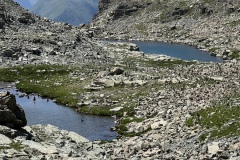 image8